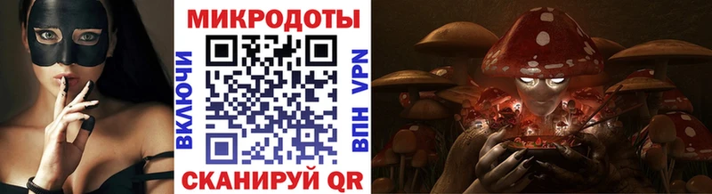 сайты даркнета какой сайт Абдулино Псилоцибиновые грибы Psilocybe
